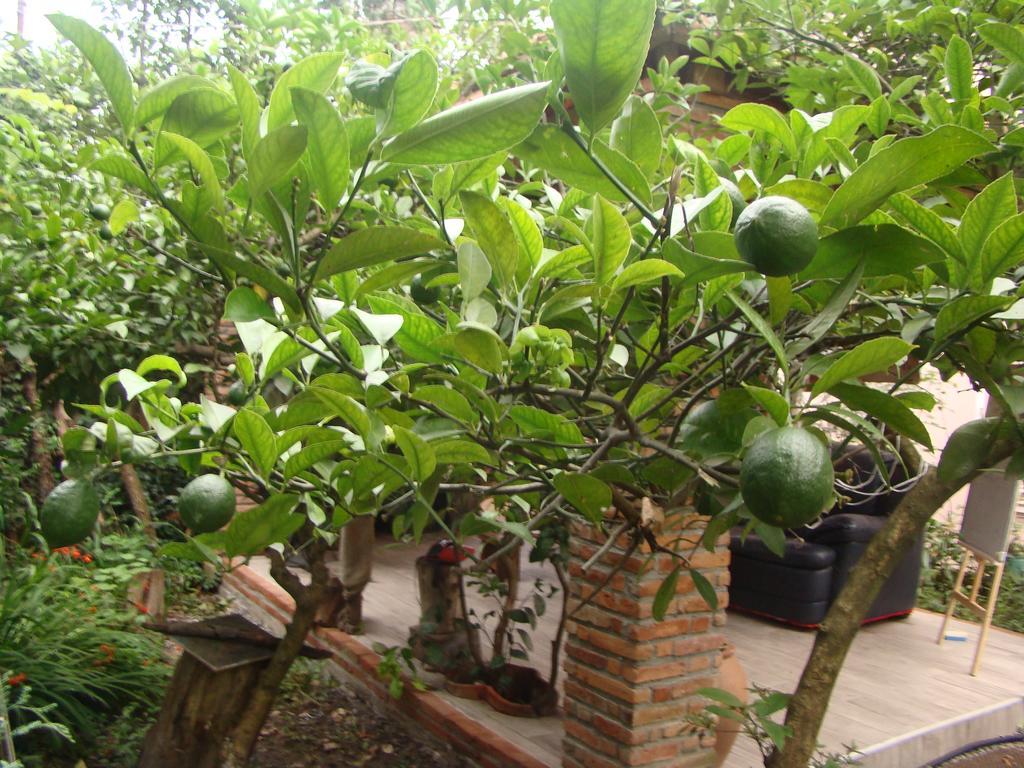 Guest House Temuri 巴统 外观 照片