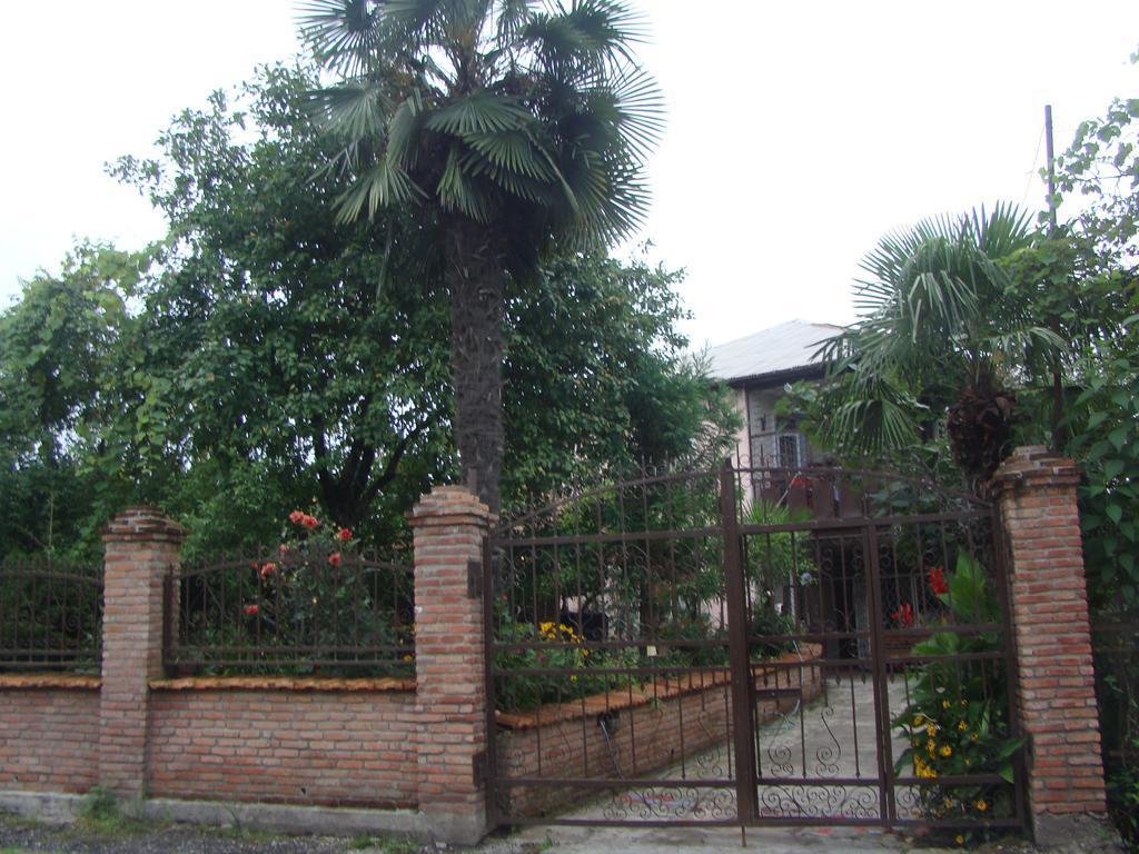 Guest House Temuri 巴统 外观 照片